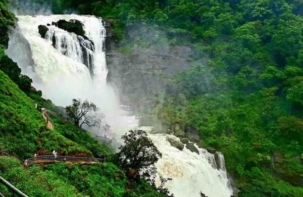 KERALA TOUR PACKAGES - Image 5