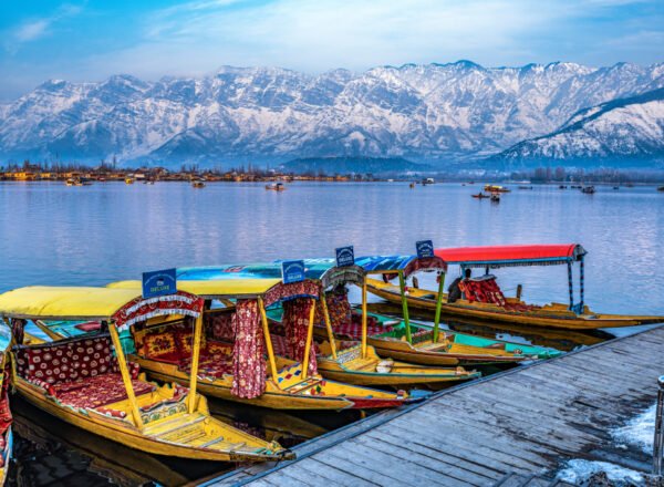 Glimpses of Kashmir - Image 5