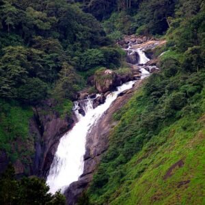 6 Days Kerala Tour Packages