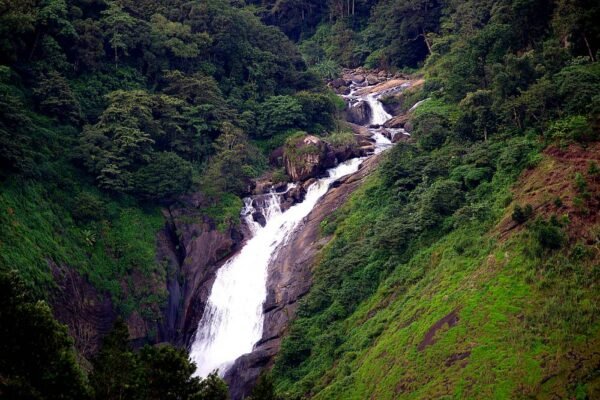 6 Days Kerala Tour Packages