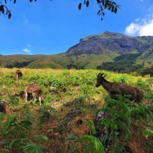 9 Days Adventure Trip Packages