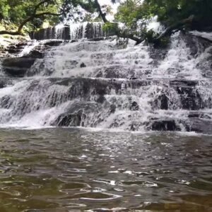 KODAIKANAL HILLS TOUR PACKAGES