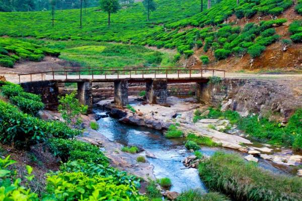 3 Days Valparai Tour Packages - Image 5