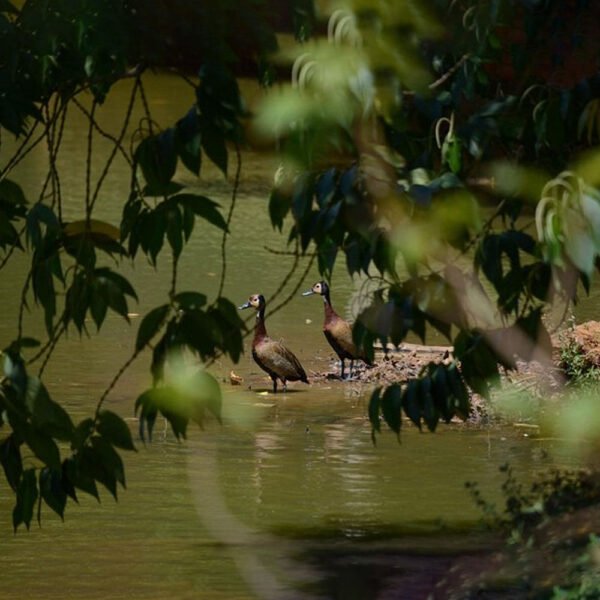 4 Days Goa Tour Package - Image 3