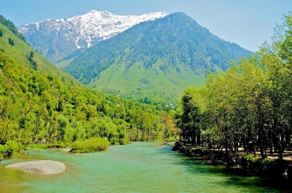 Kashmir Couple Tour Packages - Image 5