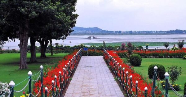 Kashmir Couple Tour Packages - Image 4