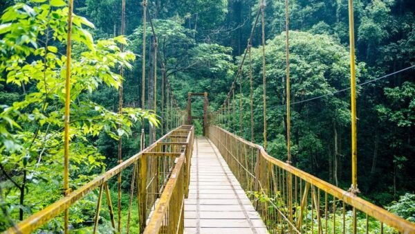 South India Hills Station Tour Packages From Bangalore - Image 7