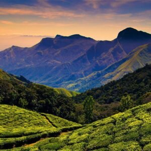 South India Hills Station Tour Packages From Bangalore