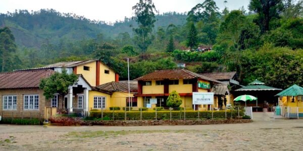Idukki / Pothamedu View Point Tour packages - Image 7