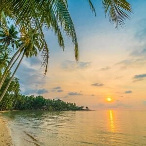 Honeymoon of lakshadweep Island Tour Packages