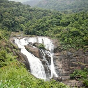 Bangalore-Coorg-Waynad-Mysore Tour Packages