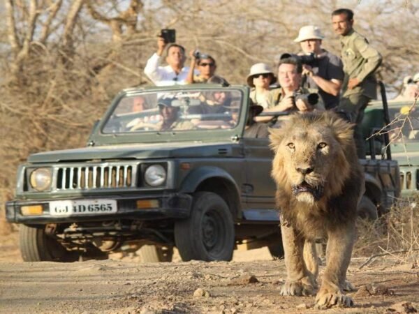 Ahmedabad - Jamnagar - Dwarka Tour Packages - Image 3