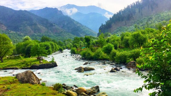 Trip of Kashmir Packages - Image 4