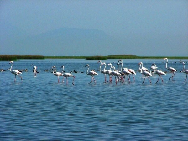 Tribal Odisha Tour Packages From Bhubaneswar - Image 2