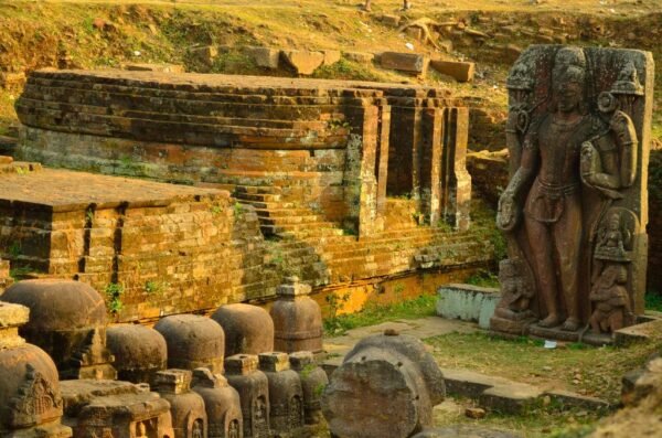 Odisha Up Close Trip - Image 3