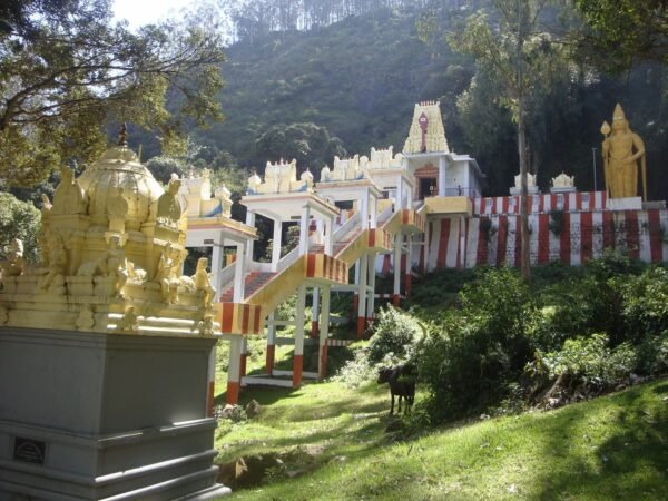 3 Days Ooty Group Tour Packages