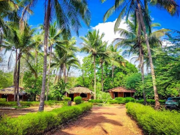 12 Days Whole South India Tourist Places - Image 4