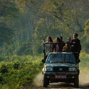 Wildlife In North India Tour