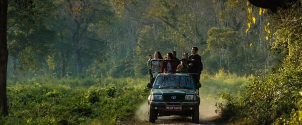 Wildlife In North India Tour