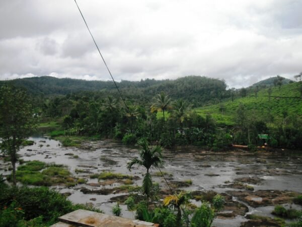 7Days Kerala Group Tour Packages