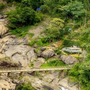 Family Group Tour Packages