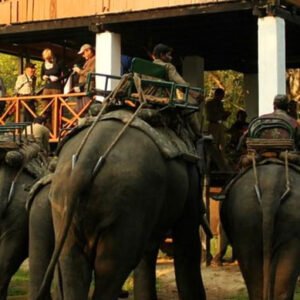 14 Days South India Tour Packages