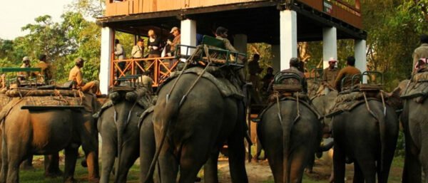14 Days South India Tour Packages
