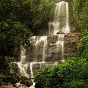 Coorg & Chikmangalore Tour Packages