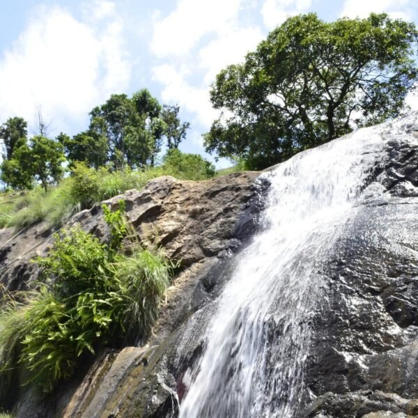 Trichy - Kolli Hills Tour Packages - Image 4