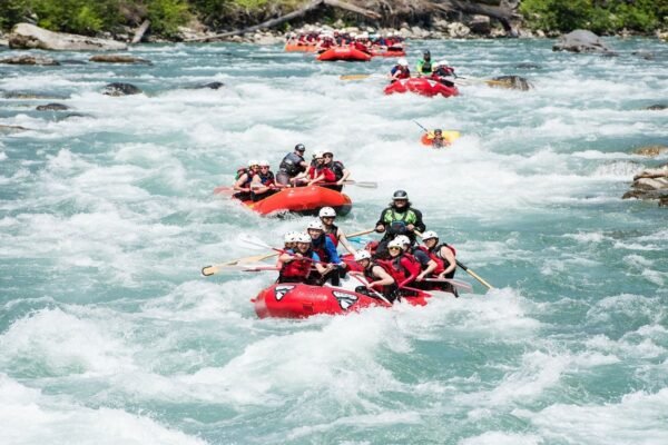 Shimla / Manali Honeymoon Trip Packages