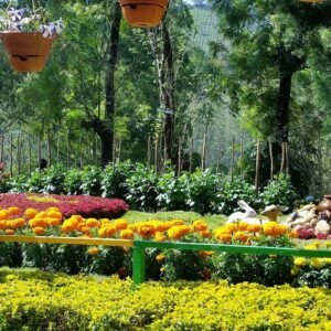 Ooty & Kodaikanal & Munnar Tour Packages