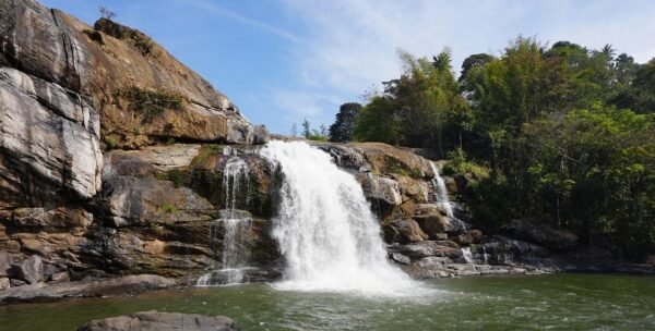 Family Group Tour Packages - Image 3