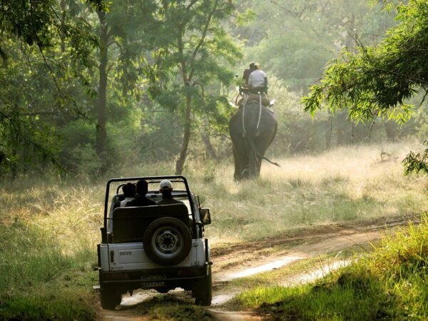 Gujarat Tour Packages