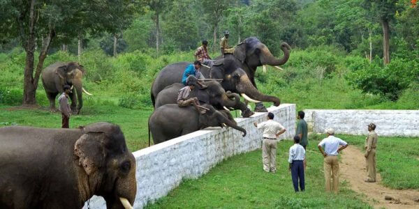 6 Days Karnataka Tour Packages - Image 7