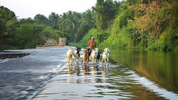 South india Tourist Places - Image 6