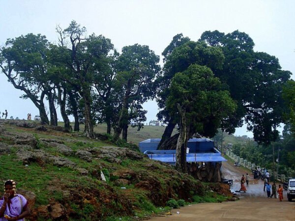 Yearcaud Hills Tour Packages - Image 2