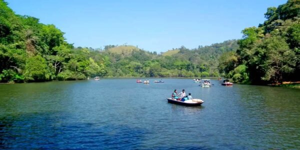 Ooty, Munnar ,Waynad Trip Packages - Image 3