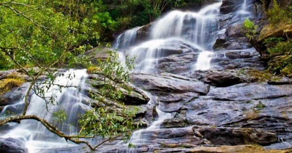 Yearcaud Hills Tour Packages - Image 3