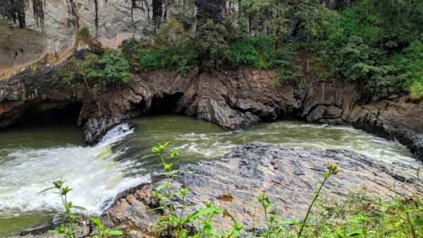 Weekend Dandeli Trip Packages - Image 3