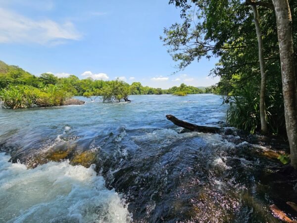 Weekend Dandeli Trip Packages - Image 2