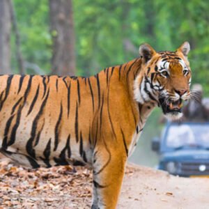 3days Weekend Adventure Trip Packages