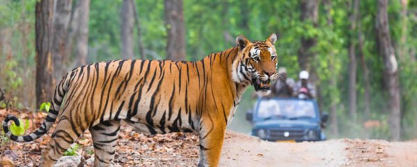3days Weekend Adventure Trip Packages