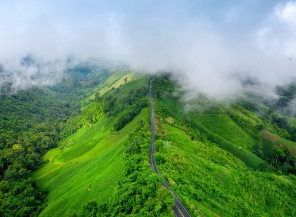 7 Night – 8 Days Karnataka – Tamil Nadu Hills Tour Package - Image 7