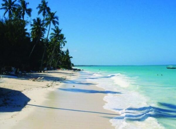 Enchanting Goa Special Tour - Image 4