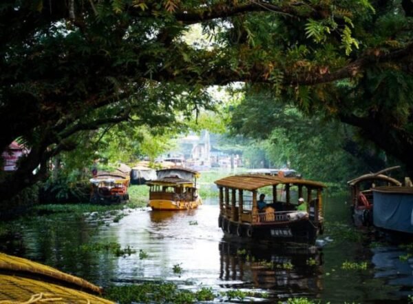 Best of Kerala Tour Package - Image 3