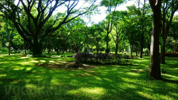 7 Days Karnataka / Kerala Tour Packages - Image 3