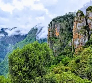 KERALA TOUR PACKAGES