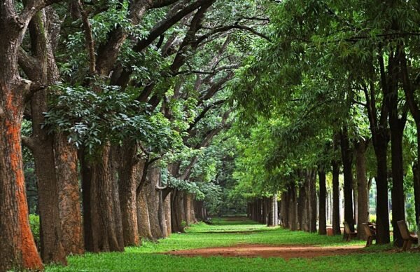 14 DAYS / SOUTH INDIA TOUR PACKAGES - Image 2