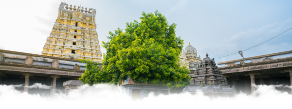 14 DAYS / SOUTH INDIA TOUR PACKAGES - Image 8