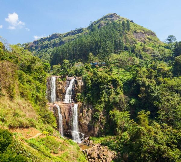 Srilanka Sightseeing Places - Image 9